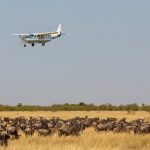 Mara-air-safari