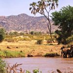 Samburu-Reserve