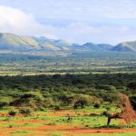 Tsavo-west2