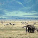 ngorongoro-crater