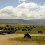 ngorongoro-crater-tour