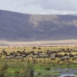 ngorongoro-crater2