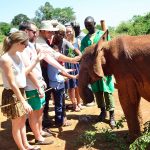 David-Sheldrick