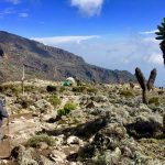 Machame-Route3