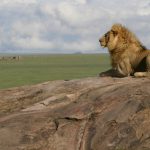 Tanzania_Serengeti
