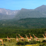 arusha-national-park