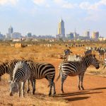 nairobi-national-park